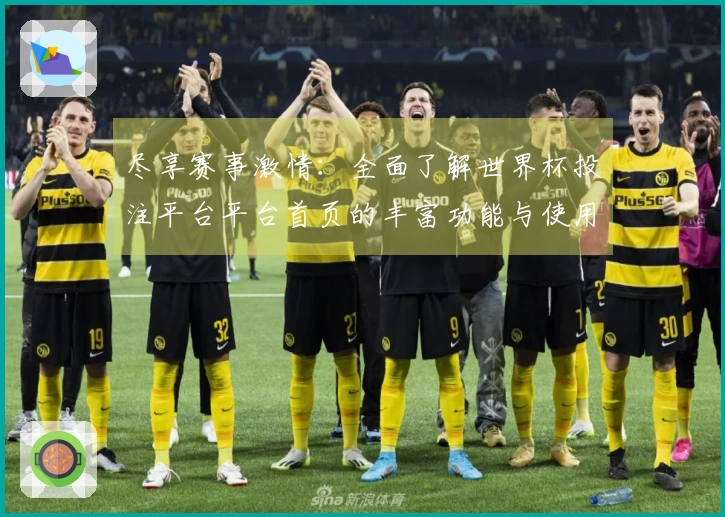 尽享赛事激情：全面了解世界杯投注平台平台首页的丰富功能与使用体验