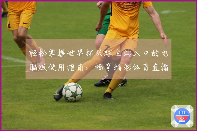 轻松掌握世界杯买球主站入口的电脑版使用指南，畅享精彩体育直播体验