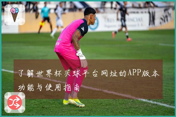 了解世界杯买球平台网址的APP版本功能与使用指南