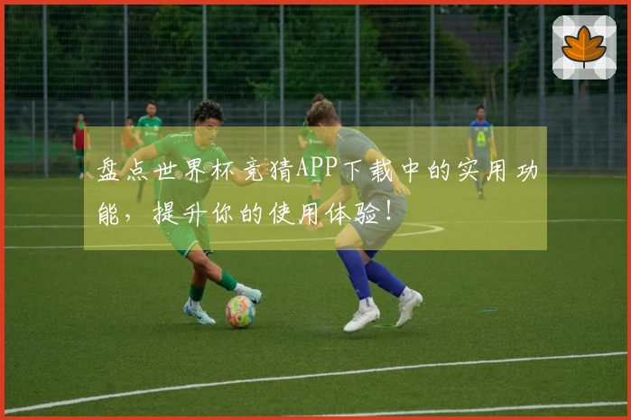 盘点世界杯竞猜APP下载中的实用功能，提升你的使用体验！