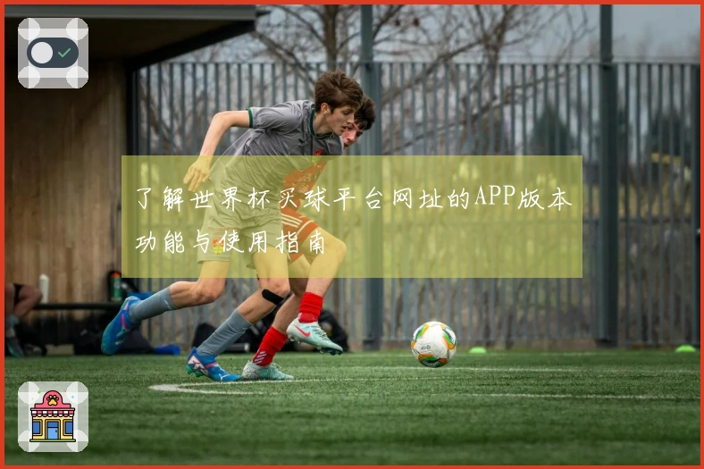 了解世界杯买球平台网址的APP版本功能与使用指南