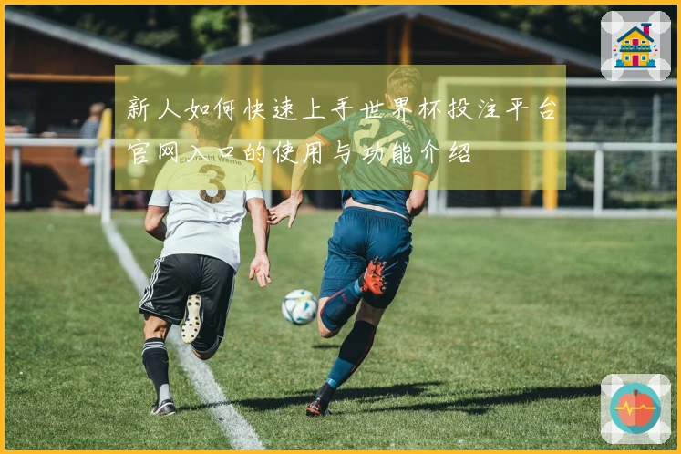 新人如何快速上手世界杯投注平台官网入口的使用与功能介绍