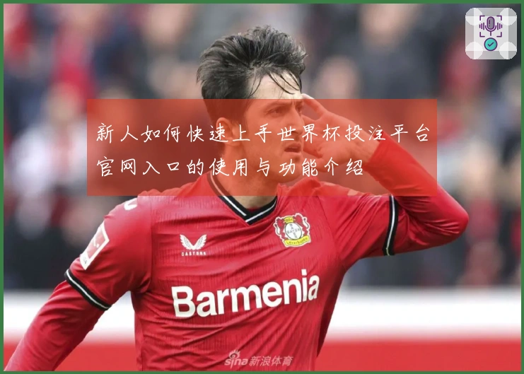 新人如何快速上手世界杯投注平台官网入口的使用与功能介绍