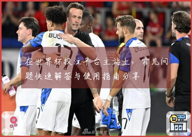在世界杯投注平台主站上，常见问题快速解答与使用指南分享