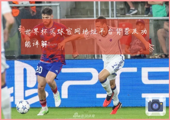 世界杯买球官网地址平台背景及功能详解