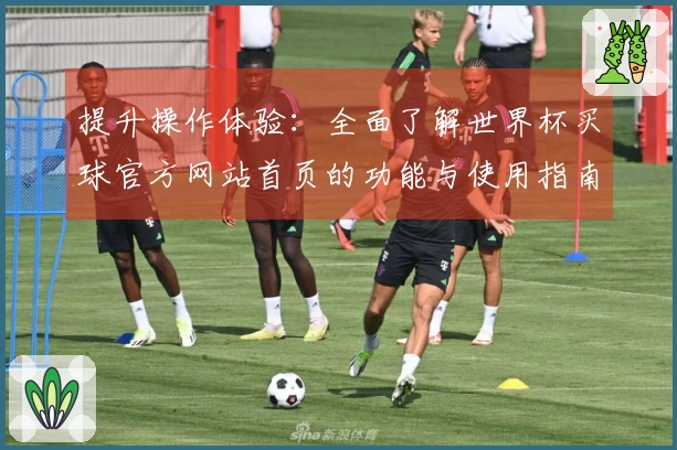 提升操作体验：全面了解世界杯买球官方网站首页的功能与使用指南