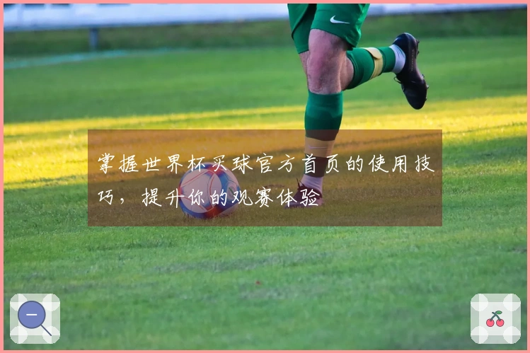 掌握世界杯买球官方首页的使用技巧，提升你的观赛体验